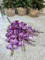 IMG_4516.jpeg