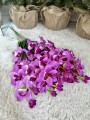 IMG_4543.jpeg