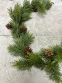 IMG_5597.jpeg