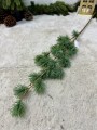 IMG_5618.jpeg