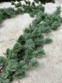IMG_5620.jpeg