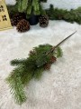 IMG_5639.jpeg
