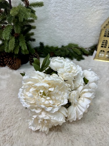 IMG_5648.jpeg