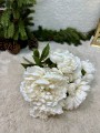IMG_5649.jpeg