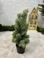 IMG_5666.jpeg