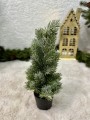 IMG_5667.jpeg