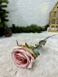 Róża różowa 55