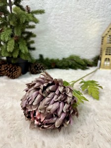Chryzantema fioletowa 77 