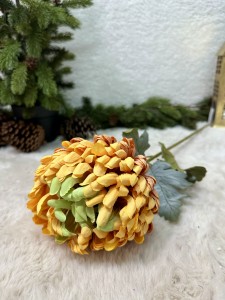 Chryzantema ombre 77  