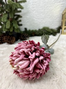 Chryzantema fioletowa 77     
