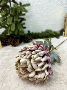 Chryzantema ombre  77    
