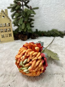 Chryzantema czerwona  77   