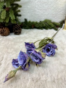 Eustoma fioletowa 85  