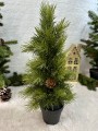 IMG_5744.jpeg