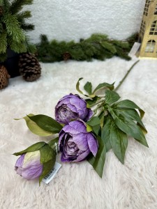 Piwonia fioletowa 70 
