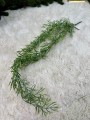 IMG_5775.jpeg