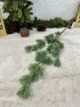 IMG_5825.jpeg