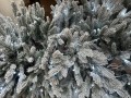 IMG_5963.jpeg
