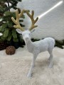 IMG_5979.jpeg