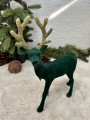 IMG_5982.jpeg