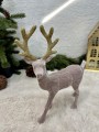 IMG_5986.jpeg