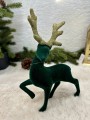 IMG_5996.jpeg