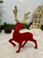 IMG_5998.jpeg