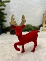 IMG_6003.jpeg
