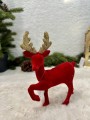 IMG_6002.jpeg