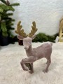 IMG_6005.jpeg