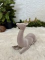 IMG_6008.jpeg