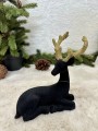 IMG_6016.jpeg