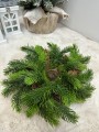 IMG_6308.jpeg
