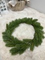 IMG_6310.jpeg