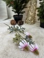 IMG_6324.jpeg