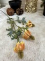 IMG_6334.jpeg