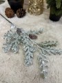 IMG_6338.jpeg