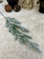 IMG_6344.jpeg