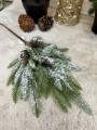 IMG_6348.jpeg
