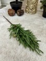 IMG_6350.jpeg
