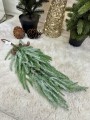 IMG_6356.jpeg