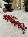 IMG_6370.jpeg