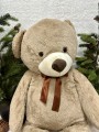 IMG_6430.jpeg