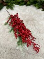 IMG_6868.jpeg