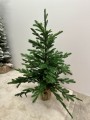 IMG_6897.jpeg