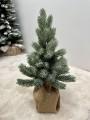 IMG_6901.jpeg