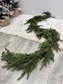 IMG_6904.jpeg