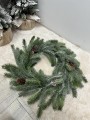 IMG_6908.jpeg